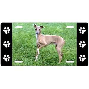  Italalian Greyhound License Plate