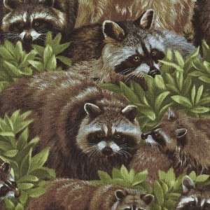 BACKYARD BANDITS REALISTIC RACCOONS Cotton Fabric BTY for Quilting 