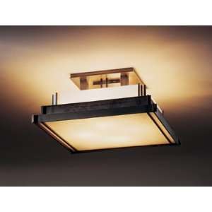   Black Steppe 4 Light Semi Flush Ceiling Fixture from the Steppe C