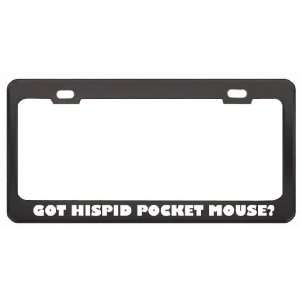 Got Hispid Pocket Mouse? Animals Pets Black Metal License Plate Frame 
