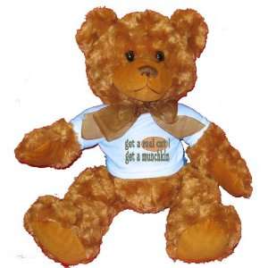  get a real cat Get a munchkin Plush Teddy Bear with BLUE 
