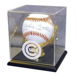  Single Baseball Gold Glove Display