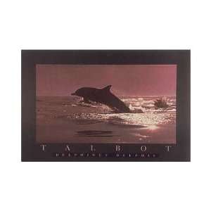  Delphinus Delphis Poster Print