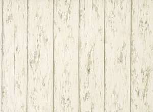 Birch Wood Planks Wallpaper Double Rolls 5815495  