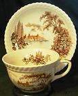 Johnson Brothers Castle on The Lake Teacup and Saucer