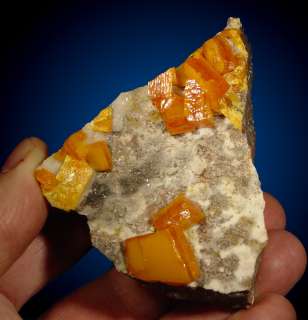 Blocky Orange WULFENITE Crystals to.7 Los Lamentos  