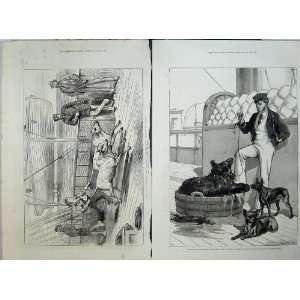   1876 Gainees Ship Serapis Himalayan Bear Tailless Dogs