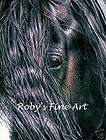 Horse Print Gypsy Vanner Eye Detail Giclee by Roby Baer PSA