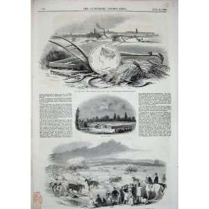  1843 Ploughing Match Mickleover Denby Chadden Hill Cows 