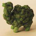 Enesco Home Grown Broccoli Camel  