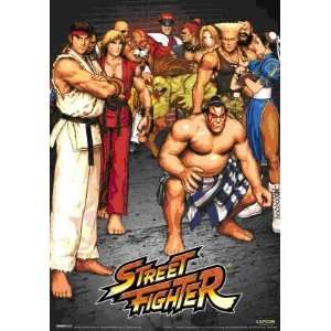  Street Fighter 3D Lenticular Poster Characters Game