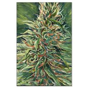  Super Silver Haze Poster Large 23x35 Marijuana Large 