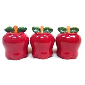    APPLE 3 D Canisters Set of 3 ^NEW^ Canister