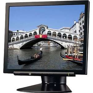   17 LCD Monitor with 2 Built In Stereo Speakers (Black) Electronics