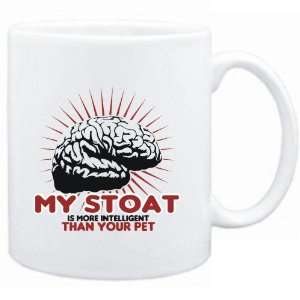  Mug White  My Stoat is more intelligent than your pet 