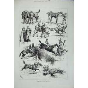  1880 Horse Racing Steeplechase Jumping Sport Old Print 