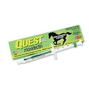  Pfizer 427447 Quest For Horses