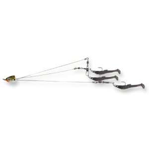  Castaic 5X3 Wire Umbrella Rig Tennessee Shad 5 Sports 