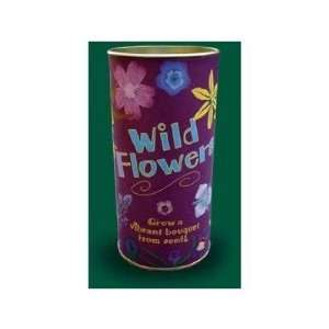  Seed Kit   Enough Wild Flower Seed to Cover 300 Sq. Ft   China Aster 