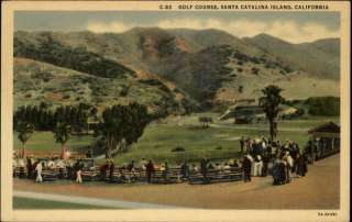 SANTA CATALINA ISLAND CA Golf Course Old Postcard  