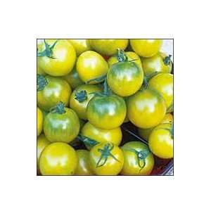  Tomato, Green Grape Patio, Lawn & Garden