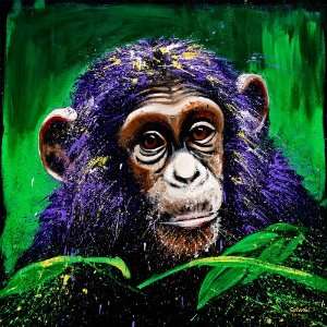  Splash Animals® Chimpanzee   Gallery Wrapped Print on 