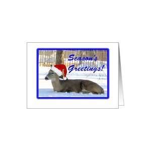  Christmas Seasons Greetings Santa Deer in Snow Card 