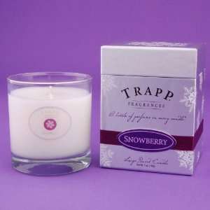  Snowberry Trapp Glass Candle