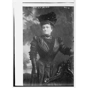  Mrs. G.R. Sheldon,at chair