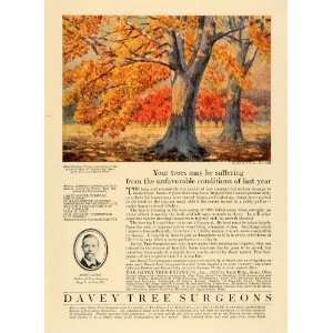   Ad Davey Tree William Vanderbilt Home Sigurd Skou   Original Print Ad