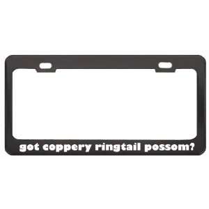 Got Coppery Ringtail Possom? Animals Pets Black Metal License Plate 