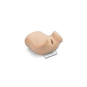   Gynecological Simulator by Nasco (sold individually) Health