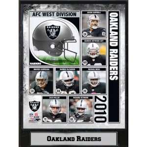   510 FBOAK2010 2010 Oakland Raiders 9x12 Stat Plaque