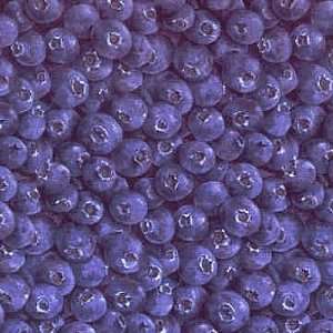   with Blueberries Quilting Fabric by RJR Fabrics Arts, Crafts & Sewing