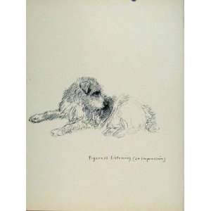  Sketch Etching Drawing Print C1938 Old Art Dog Hound
