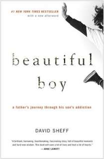 Beautiful Boy A Fathers Journey through His Sons Addiction by David 
