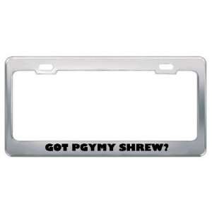 Got Pgymy Shrew? Animals Pets Metal License Plate Frame Holder Border 
