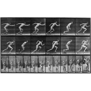   Edward Muybridge,Locomotion,shows man running, c1887