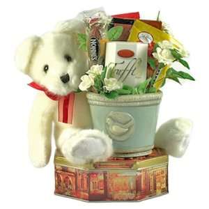 Beary Best Wishes   Cookie Tin, Planter and Teddy Bear Gift Set 