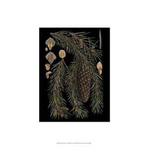  Small Dramatic Conifers III   Poster (13x19)