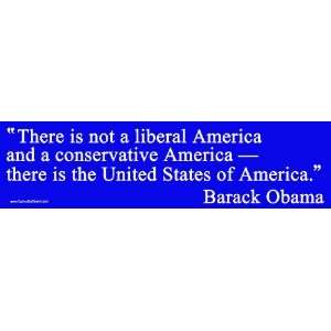  There Is Not a Liberal America and a Conservative America 