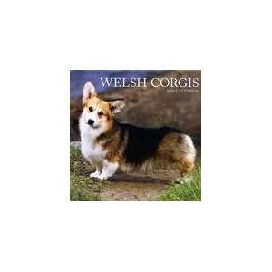  Welsh Corgis 2009 Wall Calendar