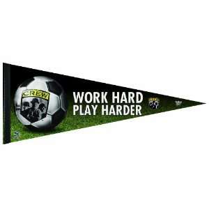   12 by 30 Inch Premium Quality Pennant Play Hard
