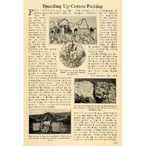  1922 Print Cotton Picking Farm Machine Tractor Arkansas 