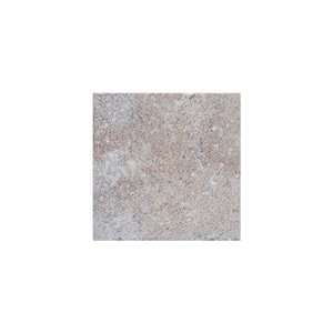  Montreaux 18 x 18 Ceramic Floor Tile in Gris
