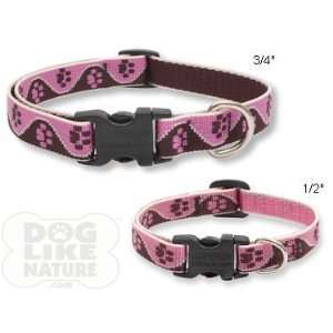  Lupine Tickled Pink Collar   3/4 inch Large Kitchen 