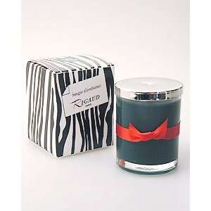  Cypres Green Forest Demi Candle #76021 Beauty