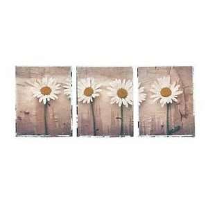  Daisies Poster Print