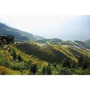  Natural Scenery of Longji Terraced Field in Guilin 