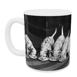  10 Dalmatians   Mug   Standard Size